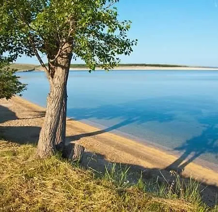 Stela 1 Повляна