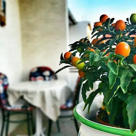 Stela 1 Apartman Povljana